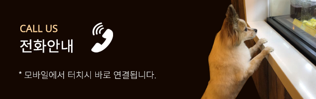 브루클린전화