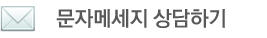 브루클린 문자